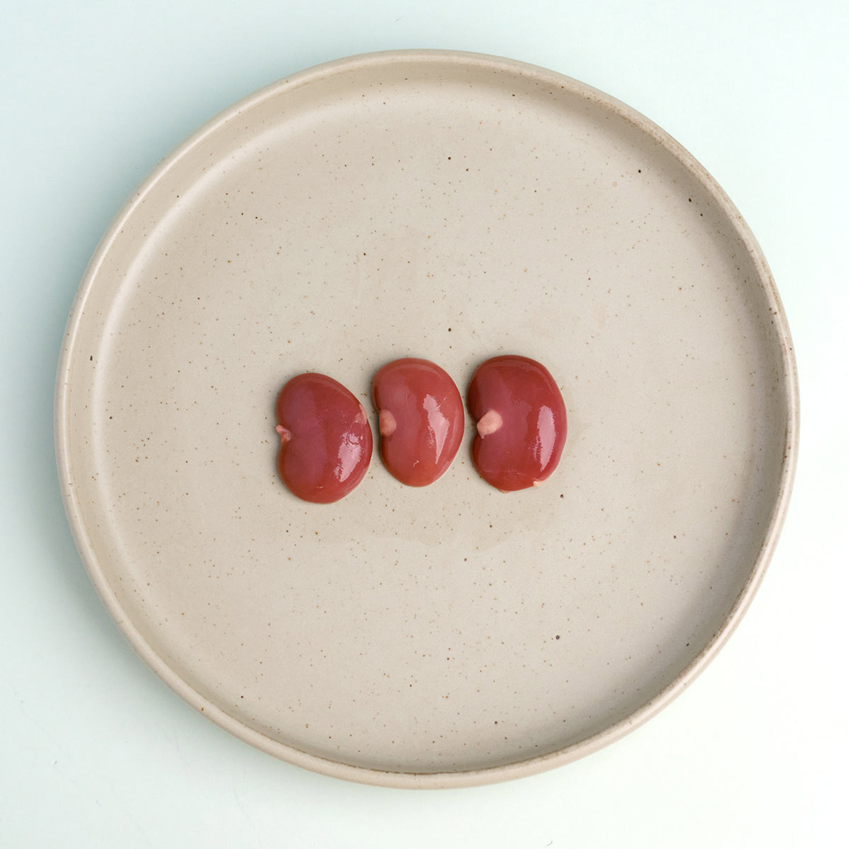 Rabbit Kidney WildChow