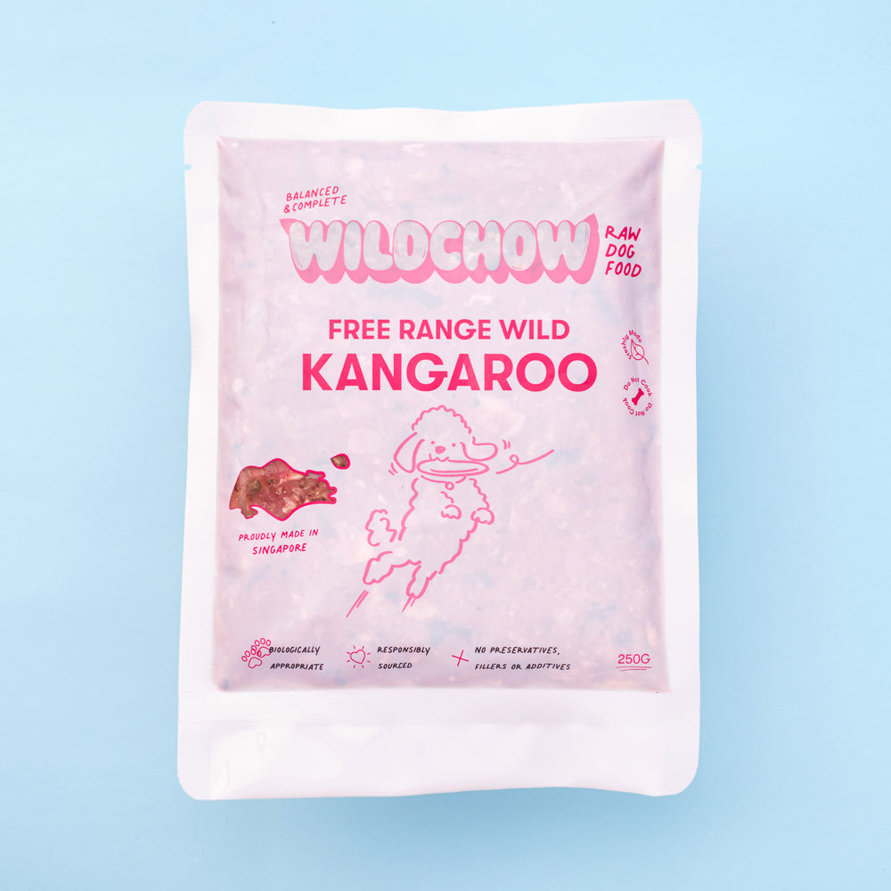 Kangaroo Low Allergy Raw Diet