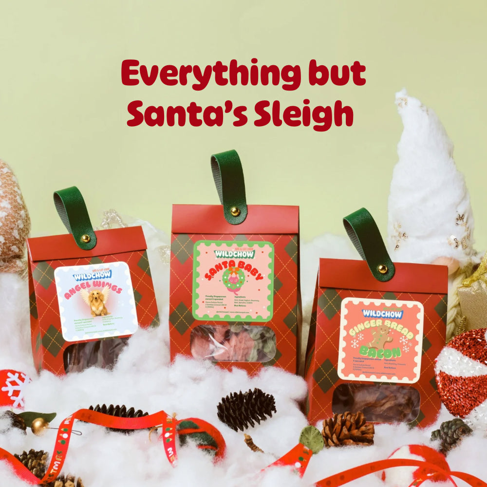Everything But Santa's Sleigh Gift Bundle