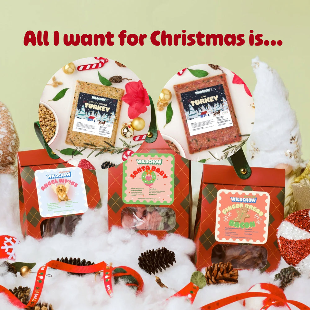 All I Want For Christmas Feasting Set