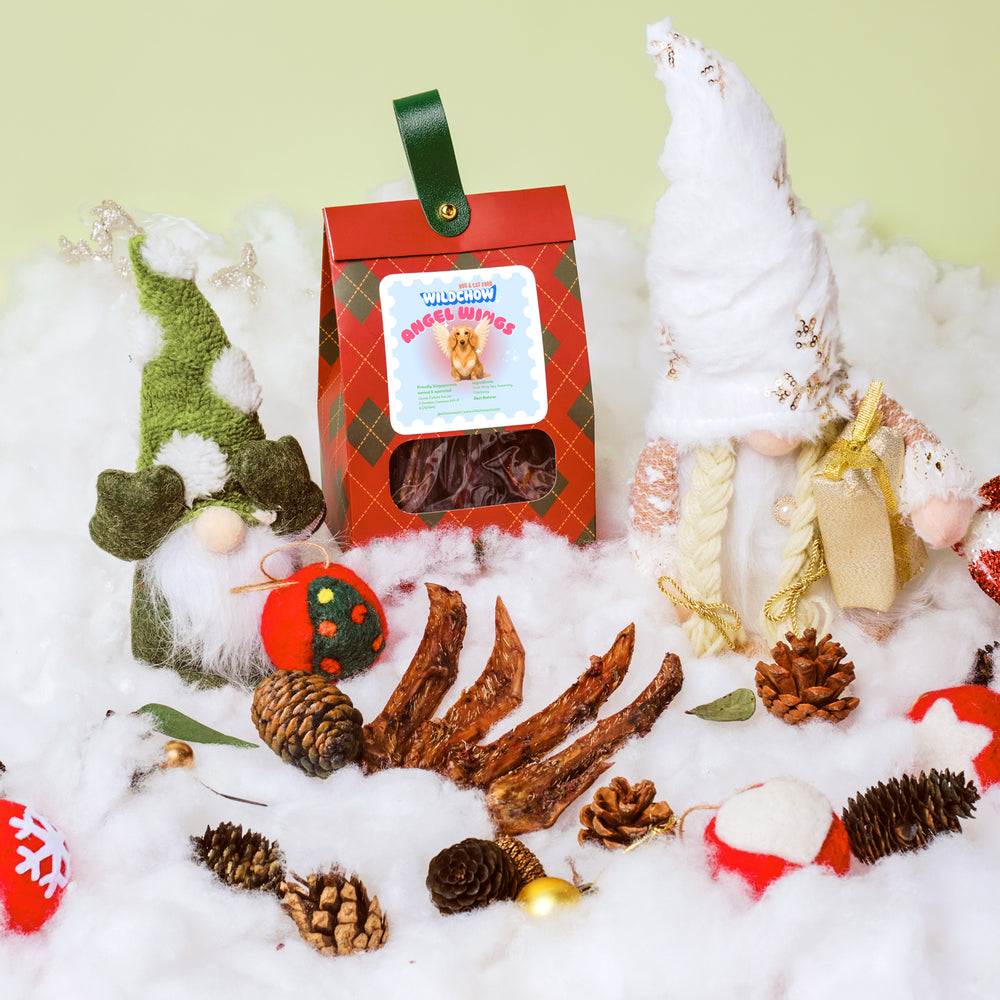 Angel Wings Christmas Special