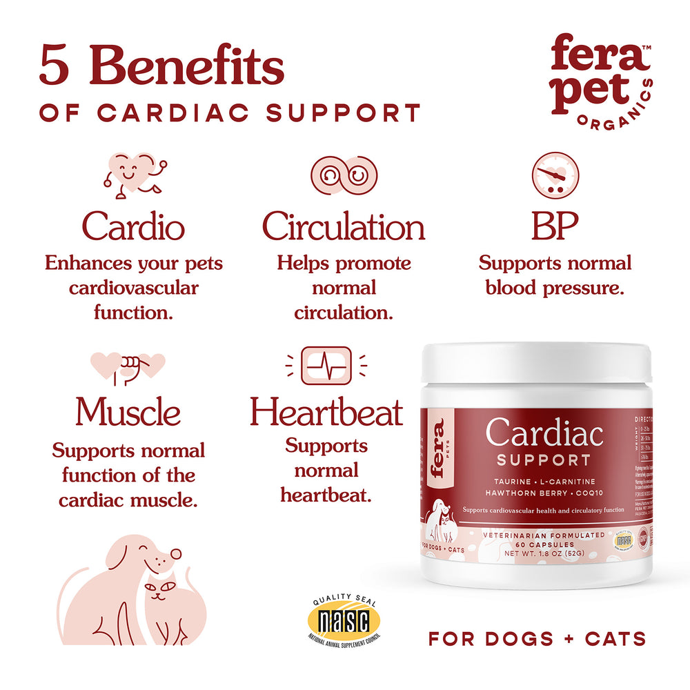 
            
                Load image into Gallery viewer, Fera Pet Organics Cardiac Support Supplement for Dogs and Cats 1.8oz
            
        