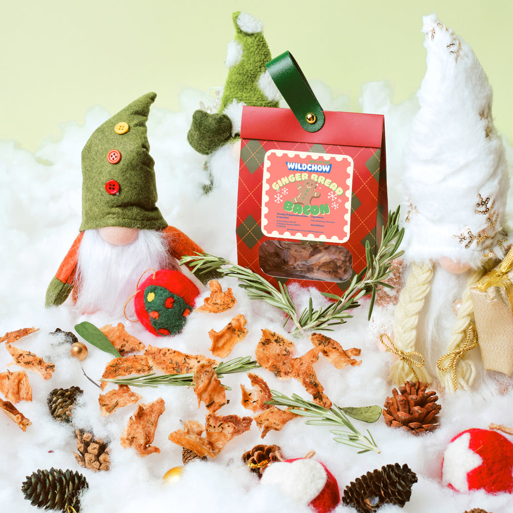 Gingerbread Bacon Christmas Special