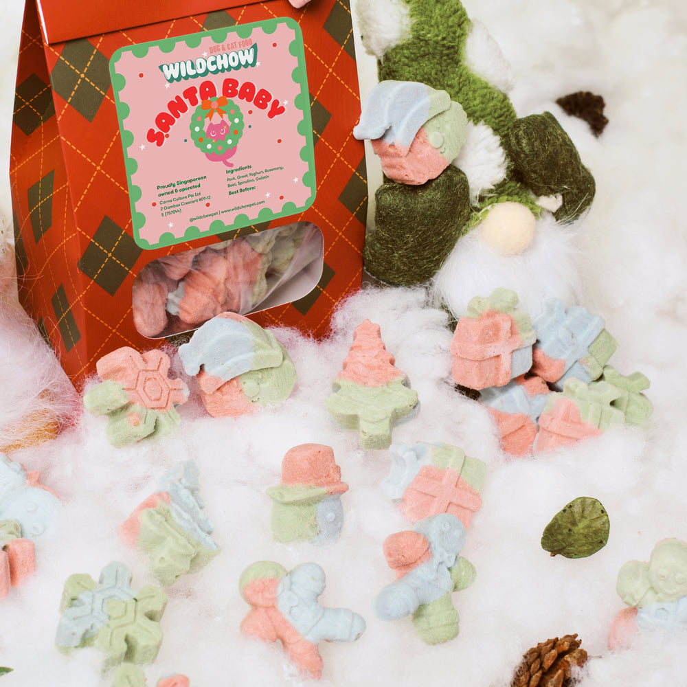 Santa Baby Christmas Special