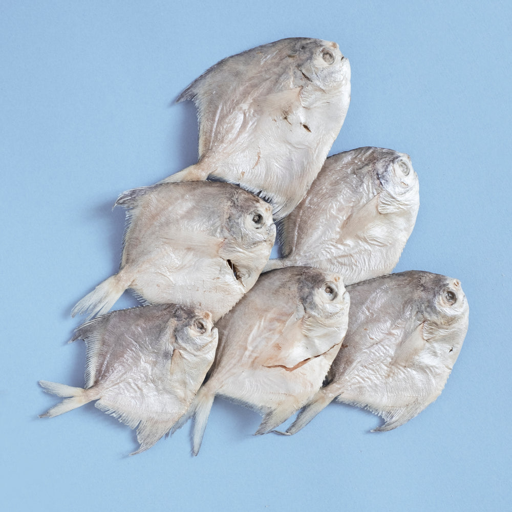 
            
                Load image into Gallery viewer, Baby Pomfret
            
        